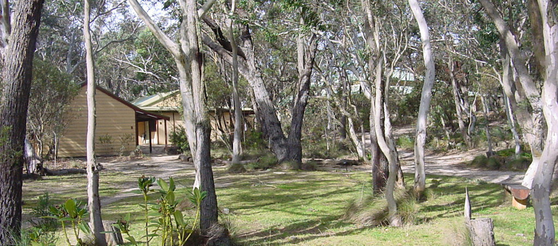Vipassana Meditation Centre trees and accommodation