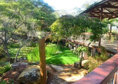 Walkway and lily pond