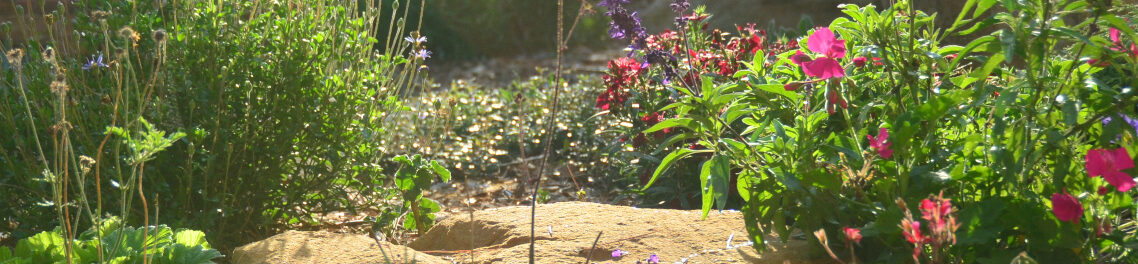 Course site, Dhamma Ujjala