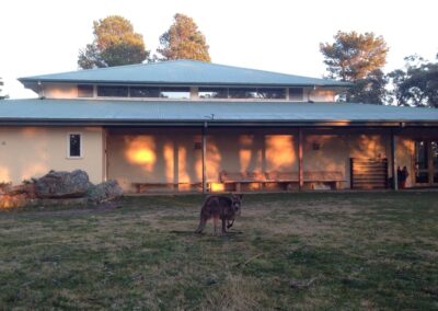 Kangaroo grazing near the hall