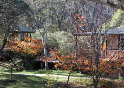 Accommodation