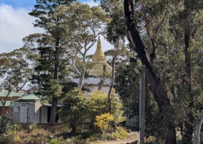 Path to the pagoda